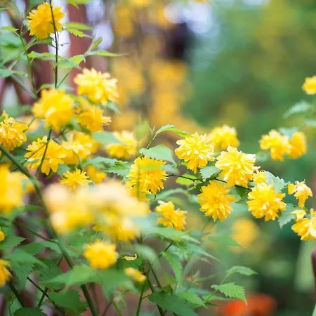 Apartmenthaus Im Stieg