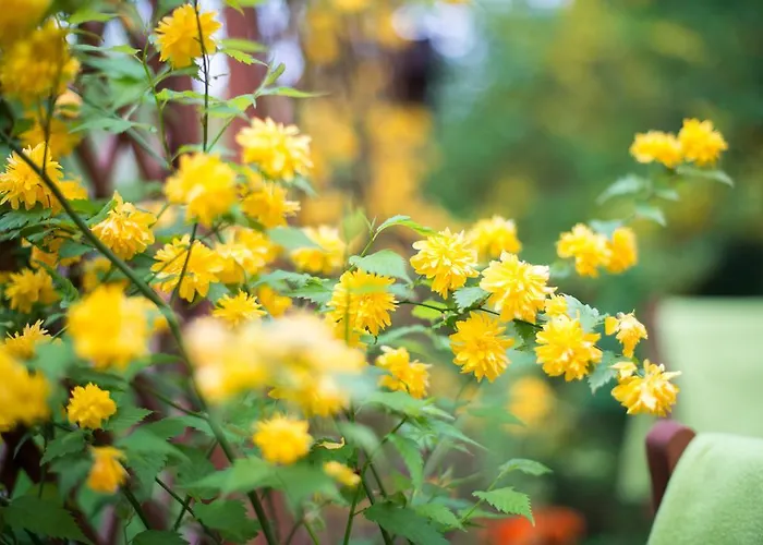 Apartmenthaus Im Stieg