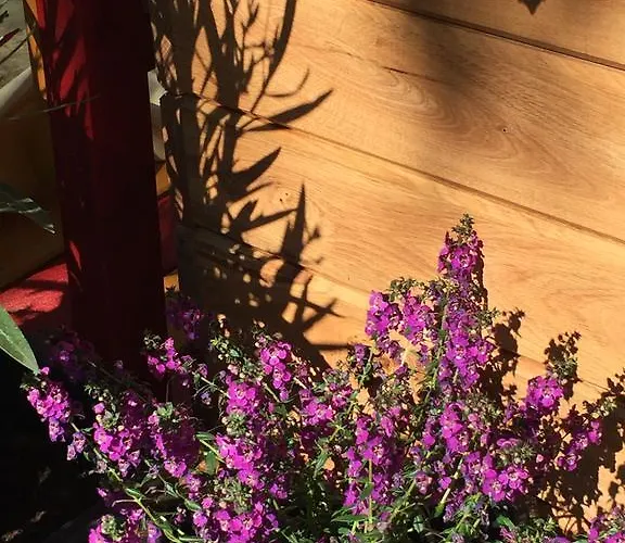 Apartmenthaus Im Stieg Quedlinburg