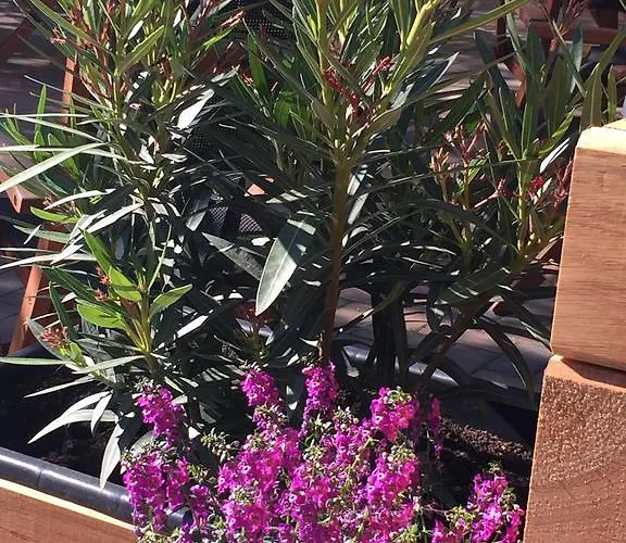 Apartment Apartmenthaus Im Stieg